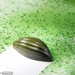 CHOCOLATE WORLD Moules À Chocolat|Moule Chocolat Fève de Cacao 6 lignes 4,8 x 2,1 cm (x21)