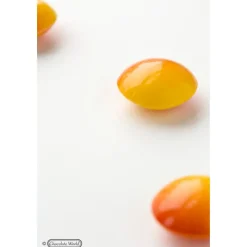 CHOCOLATE WORLD Moules À Chocolat|Moule Chocolat Lentille 3,5 cm (x21)