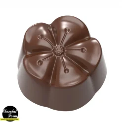 Chocolat Form Moules À Chocolat|Moule Chocolat Mochi 2,8 cm (x21) Chocolate Form