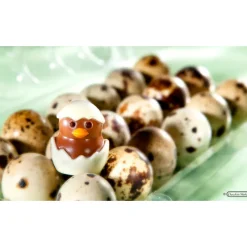 CHOCOLATE WORLD Moules À Chocolat|Moule Chocolat Poussin 33 mm (x12)