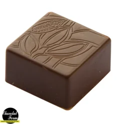 Chocolat Form Moules À Chocolat|Moule Chocolat Praline Carrée Fève 2,5 cm (x24)
