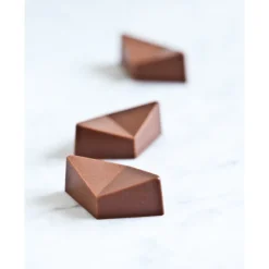 CHOCOLATE WORLD Moules À Chocolat|Moule Chocolat Praline Tropicale Buddy Trinidad (x21)