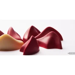 CHOCOLATE WORLD Moules À Chocolat|Moule Chocolat Pétale 45x31 mm (x21)