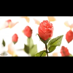 CHOCOLATE WORLD Moules À Chocolat|Moule Chocolat Rose Ouverte 12 Cavités