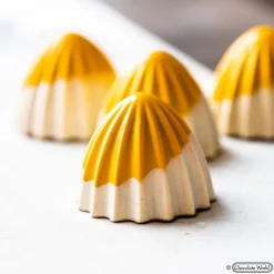 CHOCOLATE WORLD Moules À Chocolat|Moule Chocolat The Juicer 3 cm (x21)