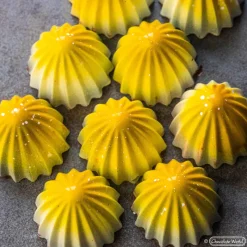 CHOCOLATE WORLD Moules À Chocolat|Moule Chocolat The Juicer 3 cm (x21)