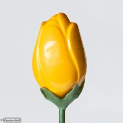 CHOCOLATE WORLD Moules À Chocolat|Moule Chocolat Tulipe 12 Cavités