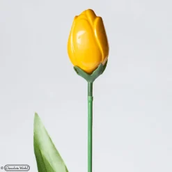 CHOCOLATE WORLD Moules À Chocolat|Moule Chocolat Tulipe 12 Cavités