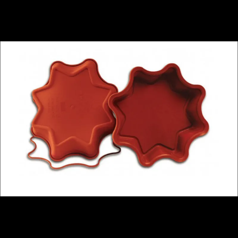 MALLARD FERRIERE Moule Silicone|Moules À Gâteaux|Moule Etoile 8 Branches en Silicone
