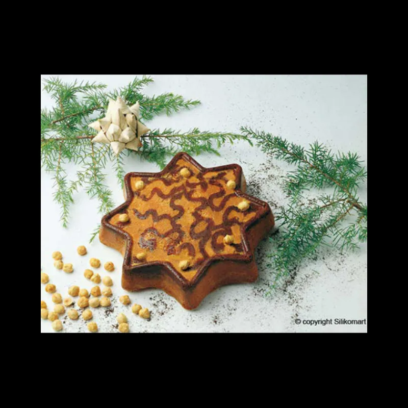 MALLARD FERRIERE Moule Silicone|Moules À Gâteaux|Moule Etoile 8 Branches en Silicone