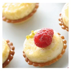 FLEXIPAN Moule Silicone|Moule Silicone 54 Mini-cylindres 3,8 cm x H 2 cm