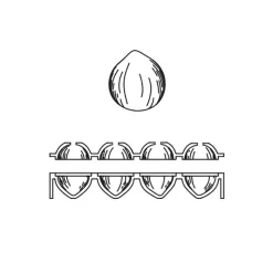 PAVONI Moule Silicone|Moules À Gâteaux|Moule Silicone 8 Noisettes 82 ml Cédric Grolet