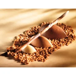 FLEXIPAN Moule Silicone|Moule Silicone 100 Quenelles allongées 4,2 x 2,2 cm