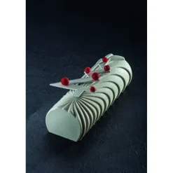 PAVONI Moule Silicone|Moules À Gâteaux|Moule Silicone Bûche Comète 25 x 8,8 cm x H 7,3 cm