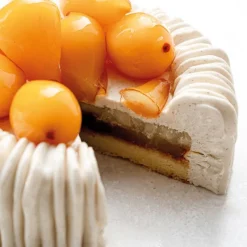 PAVONI Moule Silicone|Moule Silicone Charlotte 18 cm x H 6,5 cm Cédric Grolet