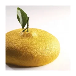 PAVONI Moule Silicone|Moules À Gâteaux|Moule Silicone Citron 1215 ml Cédric Grolet