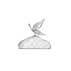 PAVONI Moule Silicone|Moules À Gâteaux|Moule Silicone Citron 1215 ml Cédric Grolet