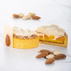 PAVONI Moule Silicone|Moule Silicone Décor Mini Amandes Ø 6 cm x H 1,4 cm (x8)