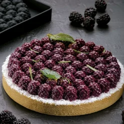 PAVONI Moule Silicone|Moule Silicone Décor Mûres Ø 18 cm x H 2,2 cm