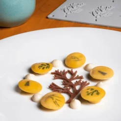 PAVONI Moule Silicone|Moule Silicone Gourmand Bois 7,8 x 4,8 x H 0,2 cm (x10)