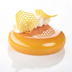 PAVONI Moules À Chocolat|Décoration Comestible|Moule Silicone Gourmand Rayon de Miel 6,7 x 6 x H 0,2 (x8)