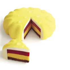 PAVOFLEX Moule Silicone|Moules À Gâteaux|Moule Silicone Insert Rond Disco Ø 18 cm x H 3 cm (x6)