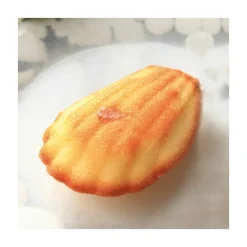 PAVOFLEX Moule Silicone|Moules À Gâteaux|Moule Silicone Madeleine 7,8 x 4,5 cm x H 1,8 cm (x44)