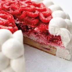 PAVONI Moule Silicone|Moule Silicone Nuage 18 cm x H 6,5 cm Cédric Grolet