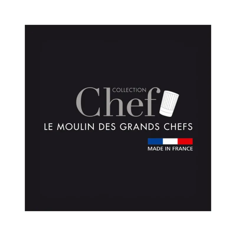 PEUGEOT Moulin|Moulin à Sel Paris Chef U'Select 30 cm Inox