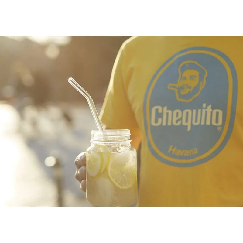 CUISINEADDICT Accessoires Bar|Paille Réutilisable en Verre 23cm courbée x6 HALM