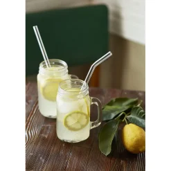 CUISINEADDICT Accessoires Bar|Paille Réutilisable en Verre 23cm courbée x4 HALM