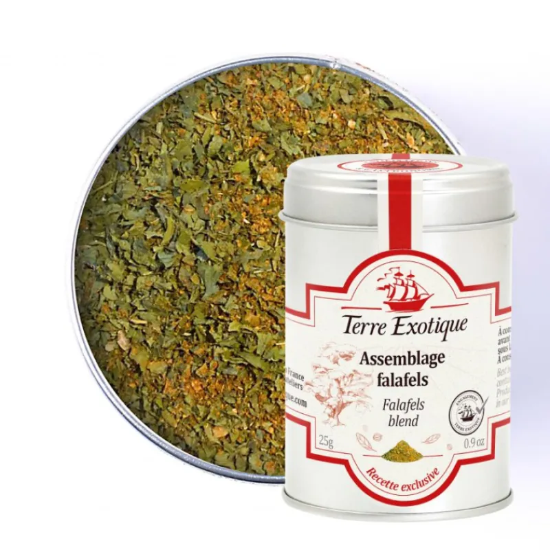 TERRE EXOTIQUE Marinade, Mélange Epices|Epices|Épices pour Falafels 25 g