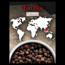 PEUGEOT Moulin|Poivre|Poivre Noir du Vietnam Tan Hoi Sachet 20 g (x7)