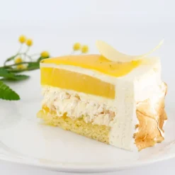 PATISDECOR Préparation Pâtisserie|Préparation Bavarois Gel Citron 100 g Patisdécor