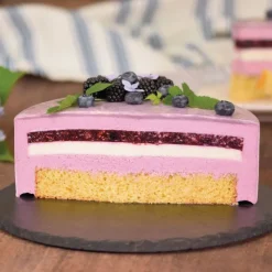 PATISDECOR Préparation Pâtisserie|Préparation Bavarois Gel Fruits des Bois 100 g Patisdécor