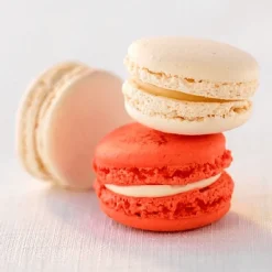 PATISDECOR Préparation Pâtisserie|Préparation pour Coques de Macarons 250 g Patisdécor
