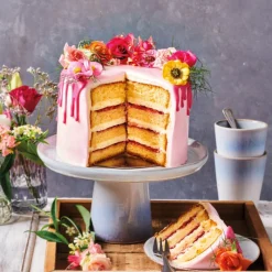 FUNCAKES Préparation Pâtisserie|Préparation pour Génoise 500g