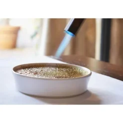 REVOL Vaisselle|Ramequin à Crème Brûlée Blanc Ø14 cm Alexandrie