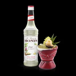 MONIN Jus, Sirops|Sirop Gingembre 70 cl