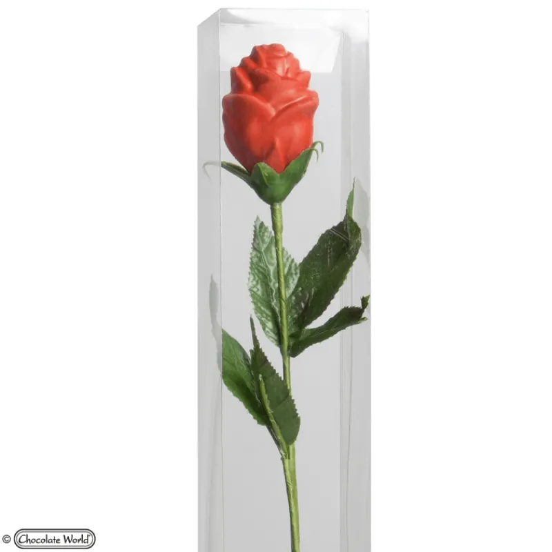 CHOCOLATE WORLD Moules À Chocolat|Décoration Gâteau|Tiges pour Rose en Chocolat x200