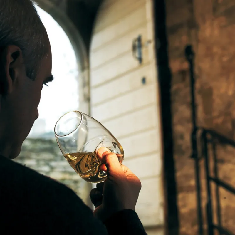 PEUGEOT Verres|Verre Le Taster 38 cl Les Impitoyables